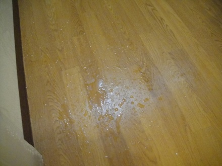 2012040101.jpg