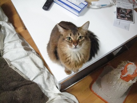 2012040102.jpg