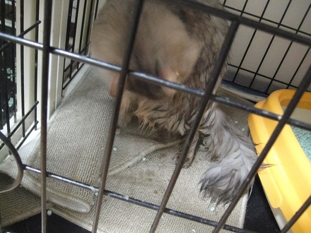 2012040103.jpg