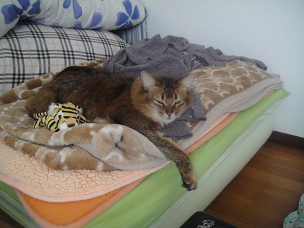 2012040300.jpg