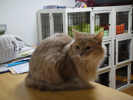 2012040500.jpg