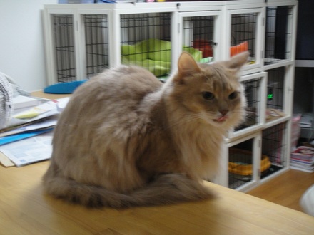 2012040501.jpg