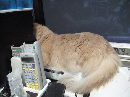 2012040800.jpg
