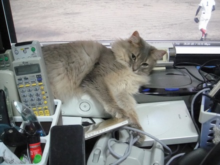 2012040802.jpg