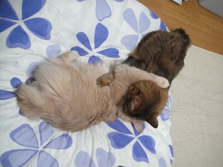 2012041001.jpg