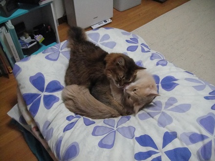 2012041002.jpg