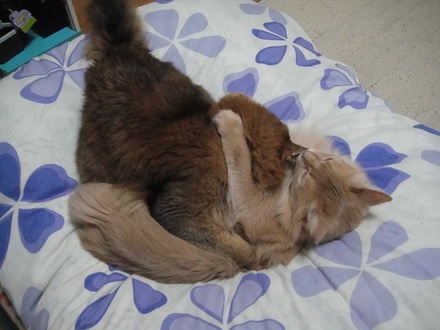 2012041003.jpg