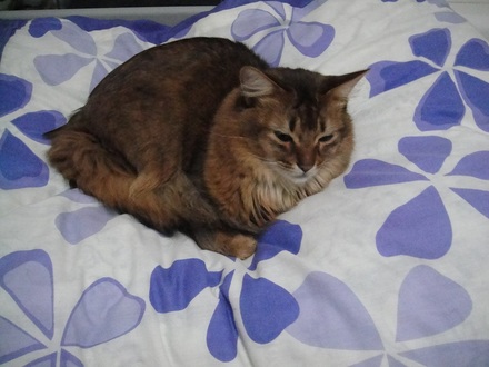 2012041005.jpg