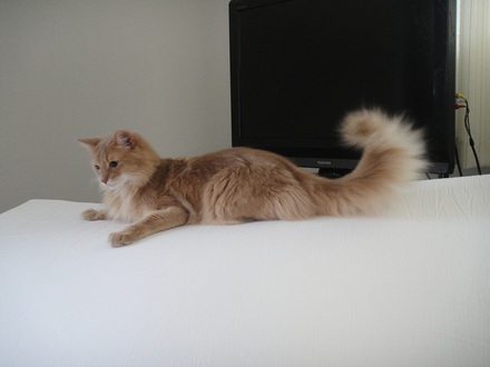 2012041101.jpg
