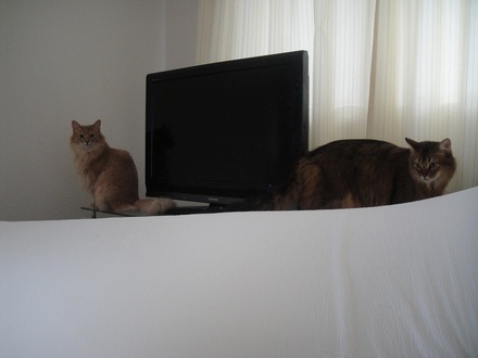 2012041102.jpg