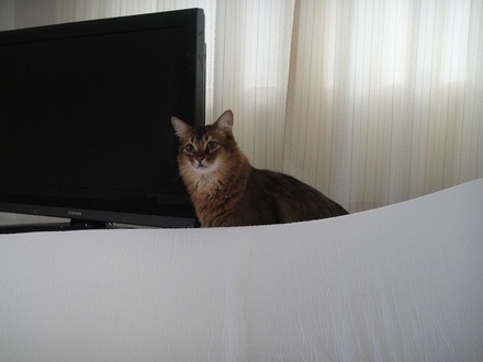 2012041200.jpg