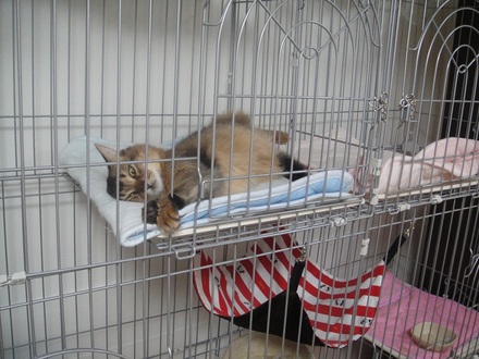 2012041201.jpg