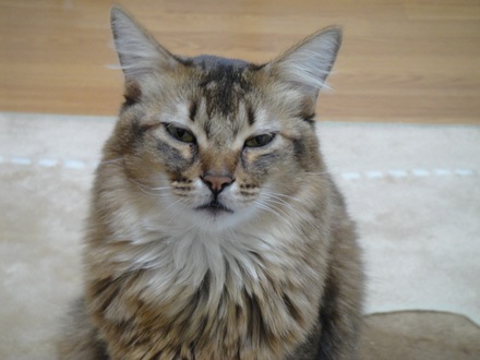 2012041202.jpg