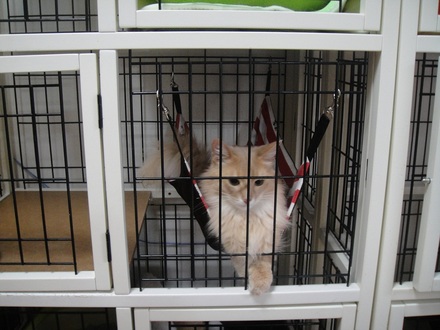 2012041400.jpg