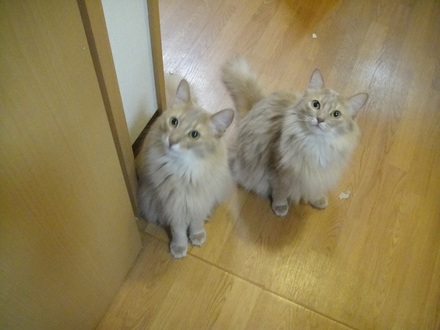 2012041600.jpg