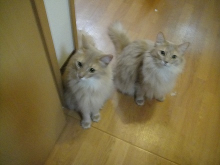 2012041601.jpg