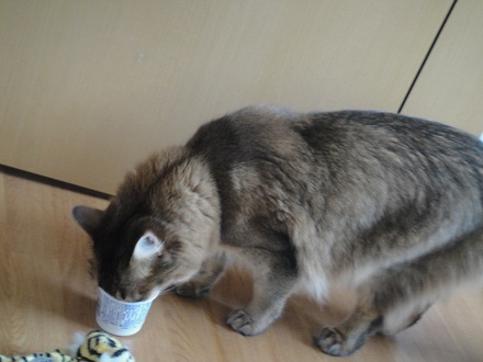 2012041800.jpg