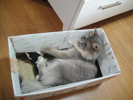 2012042101.jpg