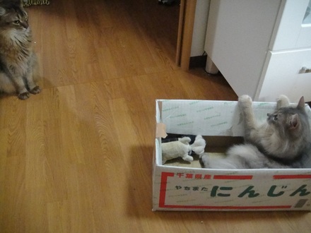 2012042102.jpg