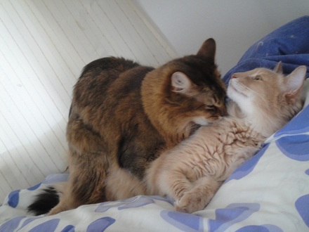 2012042201.jpg