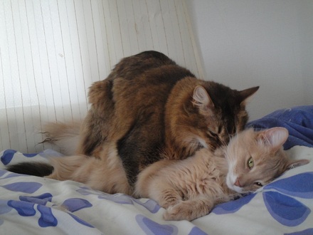 2012042202.jpg