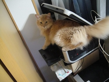 2012042300.jpg