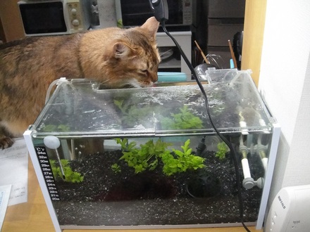2012042400.jpg