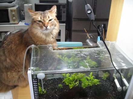 2012042401.jpg
