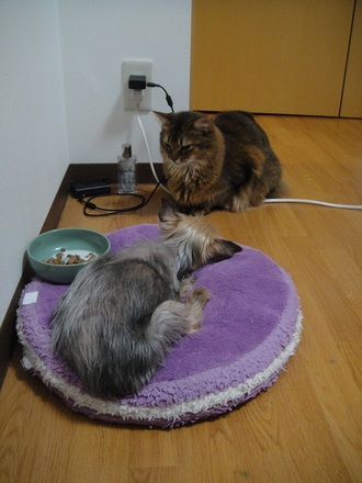 2012042500.jpg