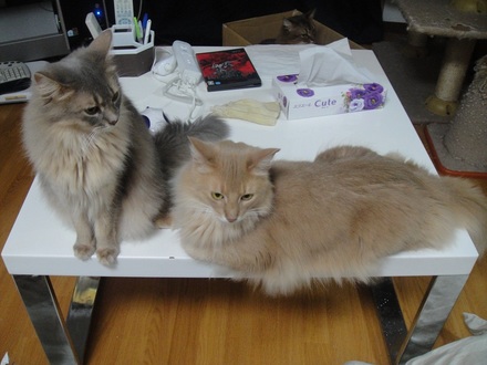 2012042701.jpg