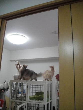 2012042900.jpg