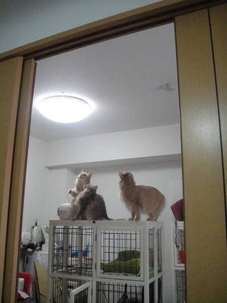2012042901.jpg
