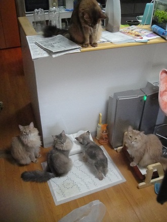 2012043001.jpg