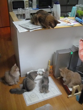 2012043002.jpg