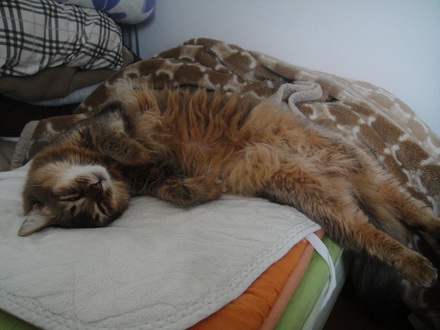 2012050100.jpg