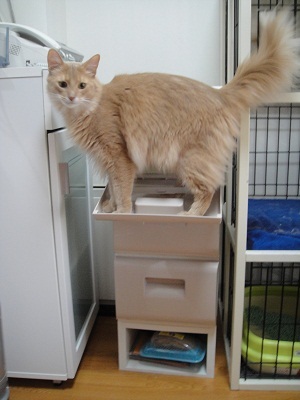 20120502.jpg