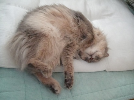 2012050300.jpg