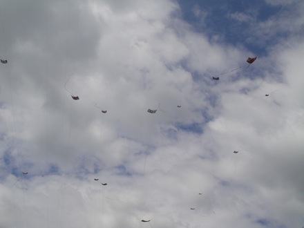 2012050404.jpg