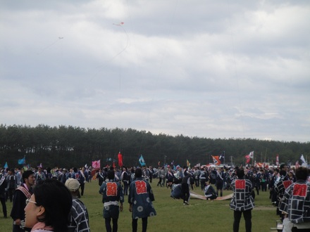 20120504067.jpg