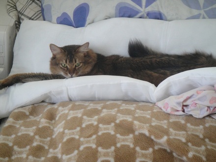 2012050409.jpg