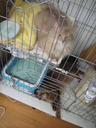 2012050600.jpg