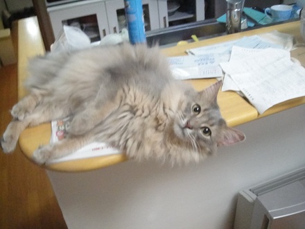 2012050800.jpg