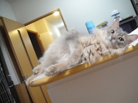 2012050801.jpg