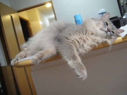 2012050802.jpg