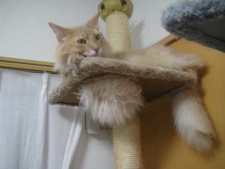 2012050900.jpg