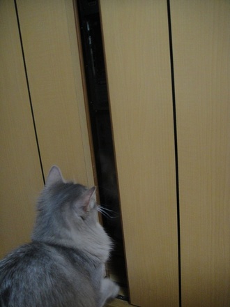 2012051000.jpg