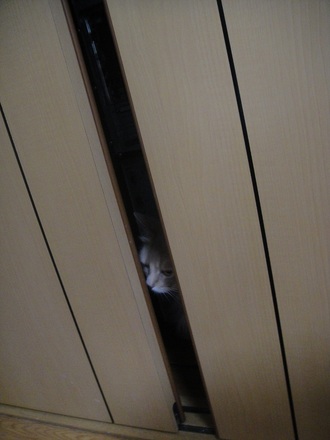 2012051001.jpg