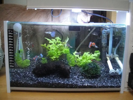 20120512.jpg