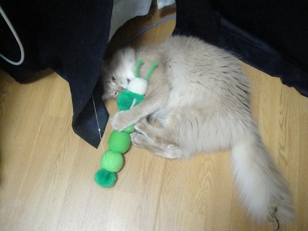 2012051300.jpg