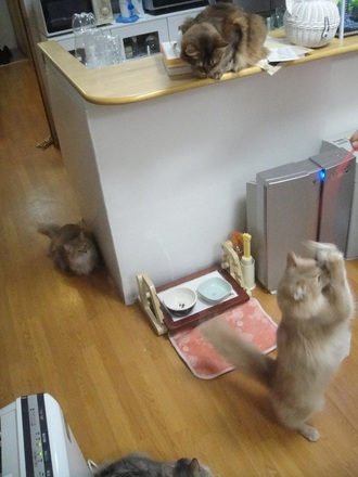 2012051301.jpg